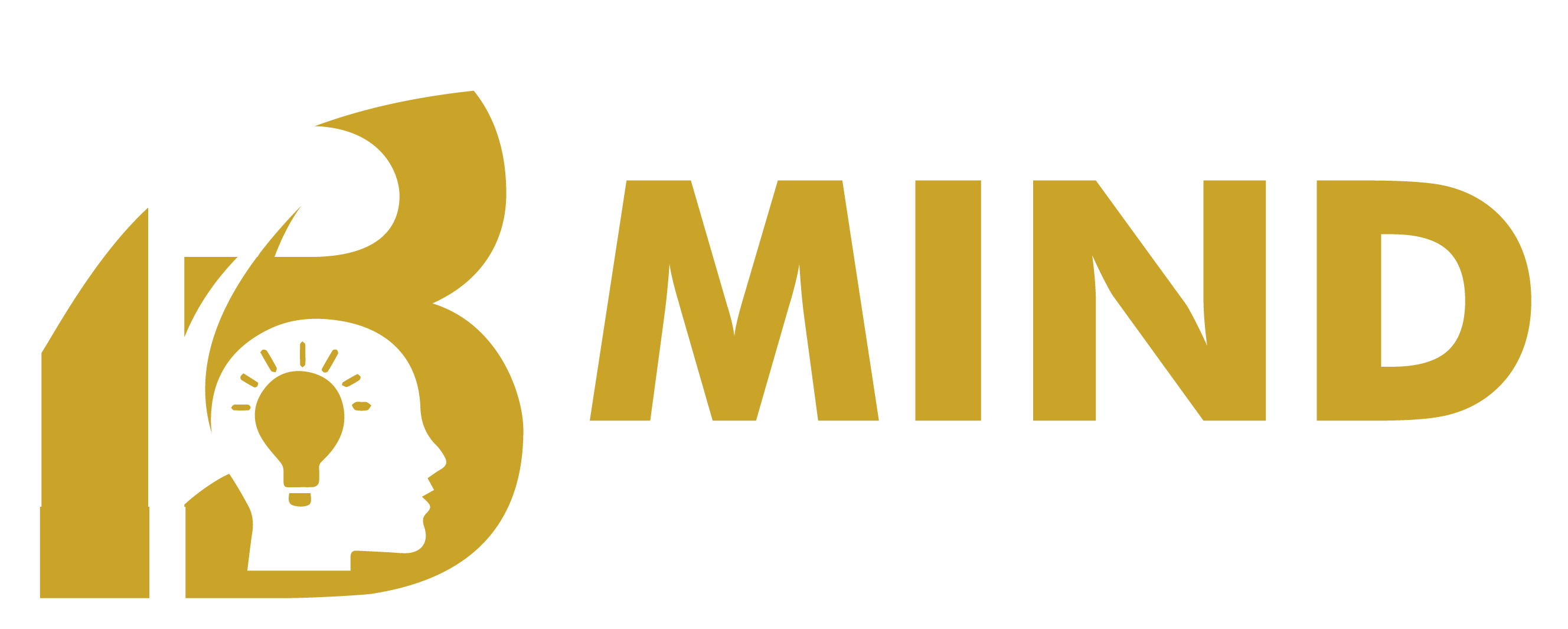 BMS LOGO.PNG.